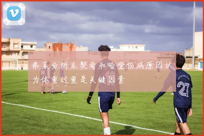 弗莱分析东契奇和哈登伤病原因认为体重过重是关键因素