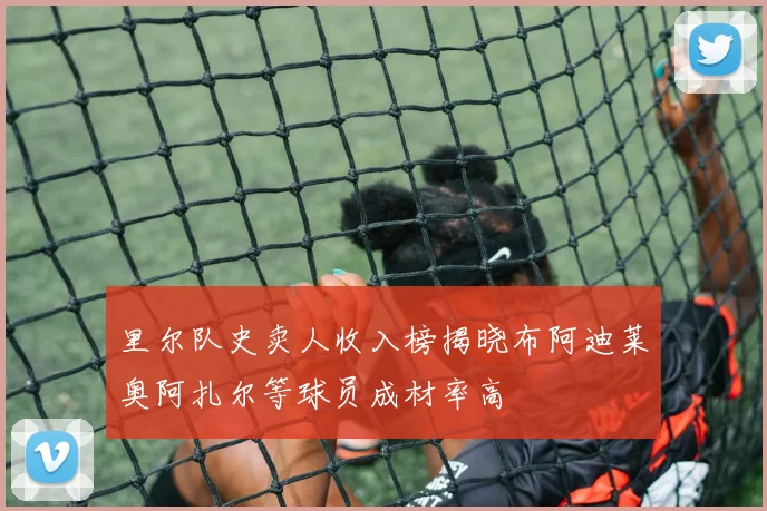 里尔队史卖人收入榜揭晓布阿迪莱奥阿扎尔等球员成材率高