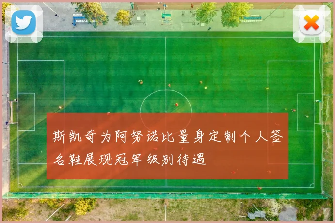 斯凯奇为阿努诺比量身定制个人签名鞋展现冠军级别待遇