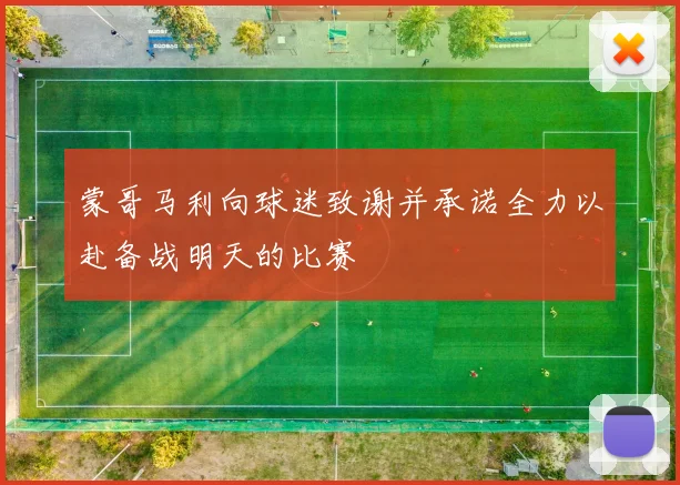 蒙哥马利向球迷致谢并承诺全力以赴备战明天的比赛